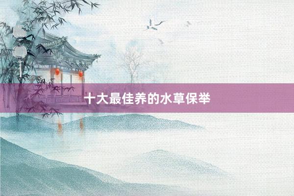 十大最佳养的水草保举