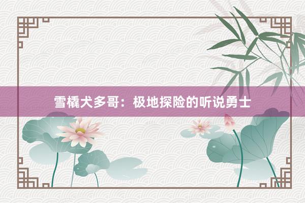 雪橇犬多哥:极地探险的听说勇士
