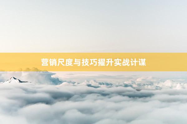 营销尺度与技巧擢升实战计谋